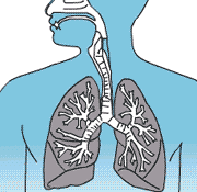 Respiratory Deposition