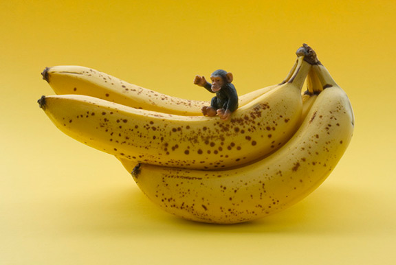 yellow monkey bananas