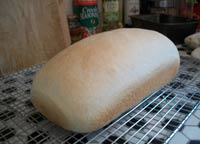 Freshly baked white bread