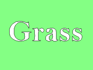 Grass