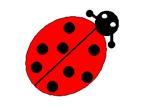 Ladybug