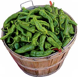 basket of chiles