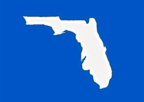Self made Florida map