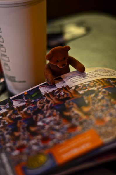 Toy Bear Reading