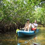 Paddling through the mangroves at Weedon