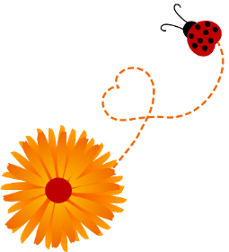 ladybug and orange flower