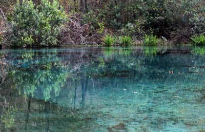Close-up photo of crystal clear water at Ichetucknee