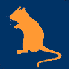 Orange and Blue Mouse