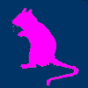 Purple Mouse