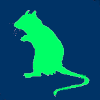 Green Mouse