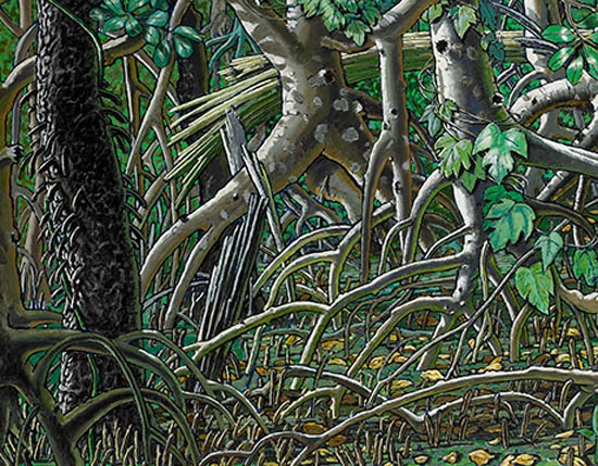 Mangrove Thicket