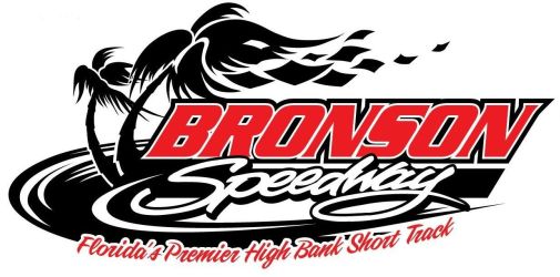 Bronson Logo