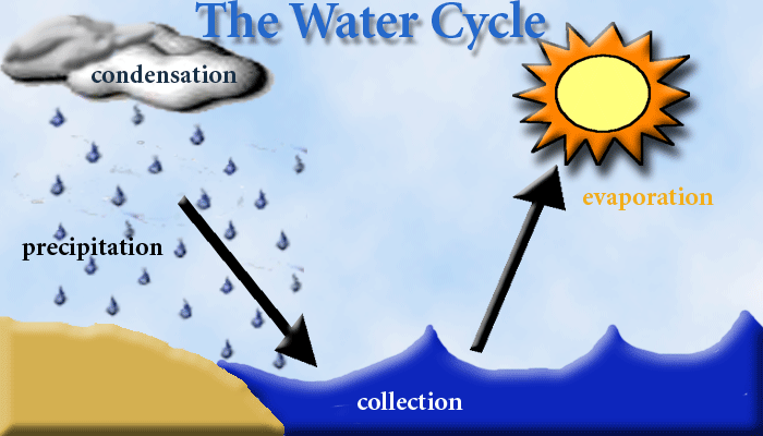 water-cycle-monique-hagel