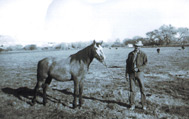 Old Photo of Groseta Ranch Worker and his horse