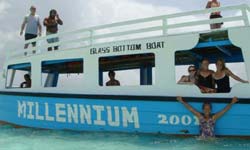 Glass bottom boat tour
