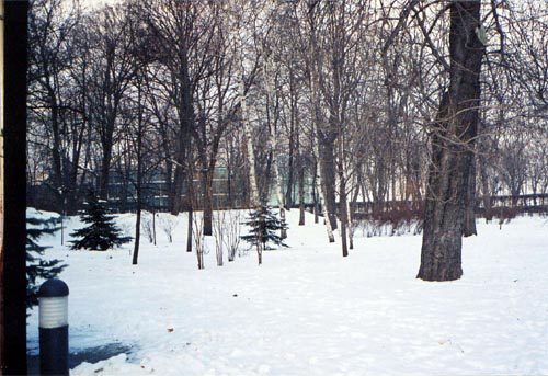 Vladimir's Hill