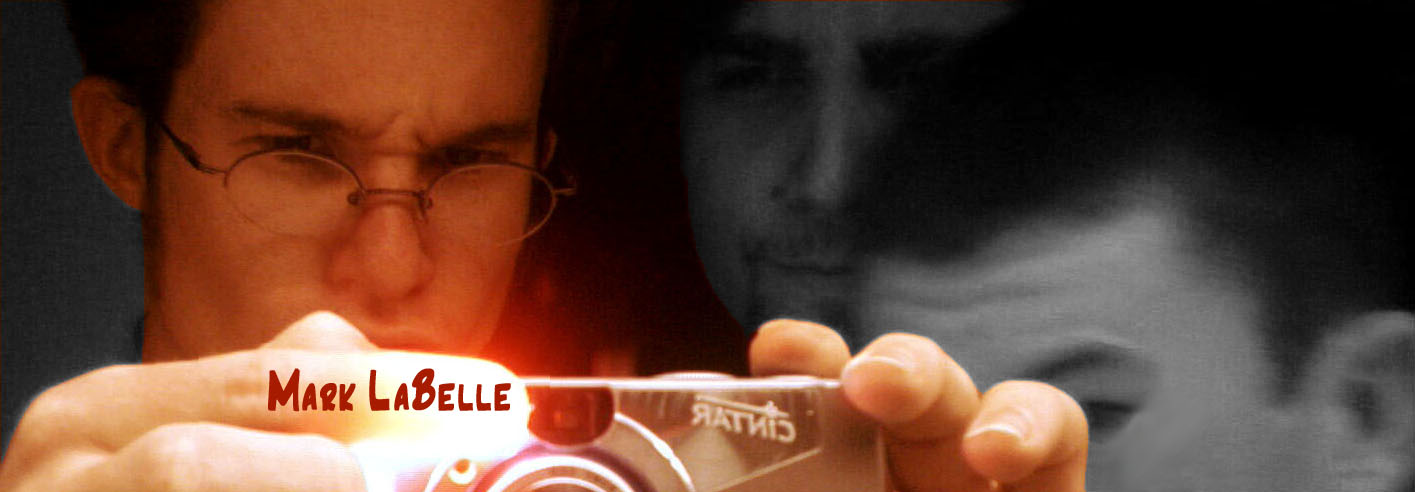 Mark LaBelle banner