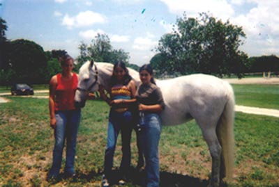 Three girls standing by a white horse