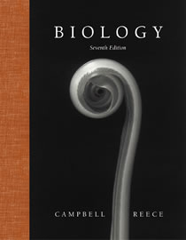 Campbell cover image