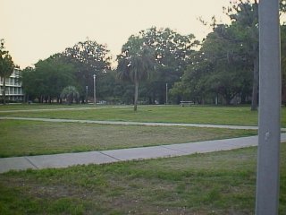 Campus Lawn