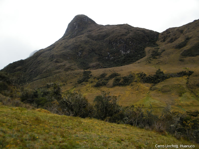 Cerro Unchog, Huanuco