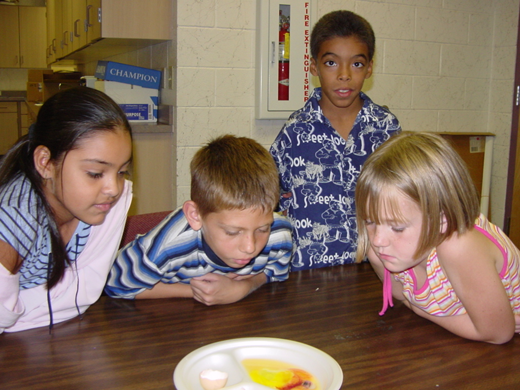 Image of seeing the development of an egg