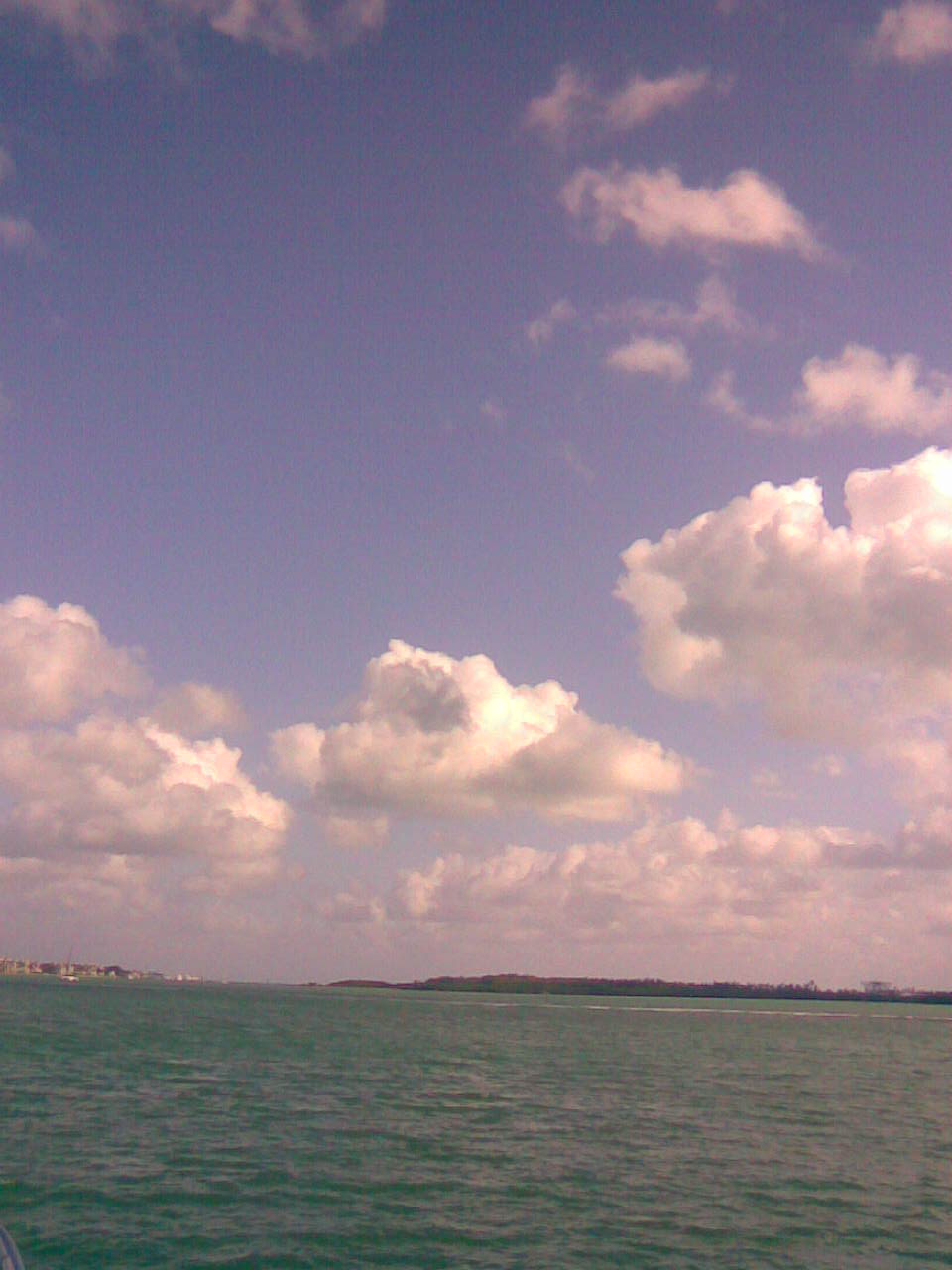 Miami bay