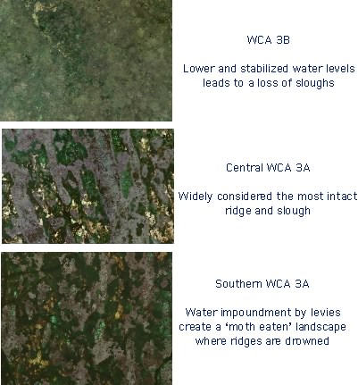 aerial images of everglades