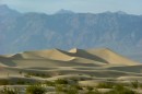 DV_8 * Another view of the Sand Dunes, thanks to the long zoom on the Fuji S5000. * 480 x 319 * (97KB)