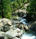 Y_6 * One of the many waterfalls in Yosemite. * 445 x 480 * (150KB)